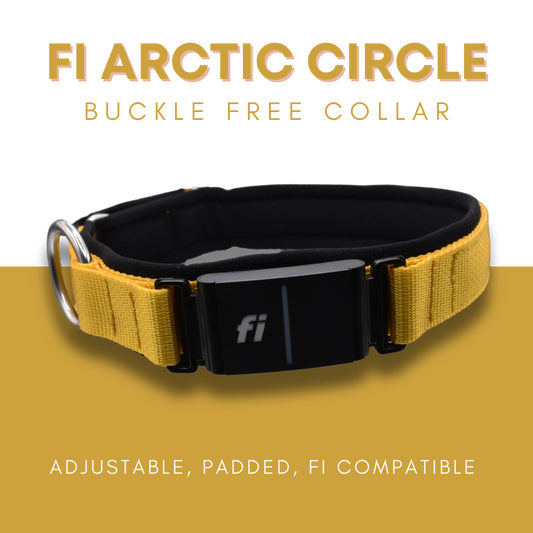 FI Arctic Circle Collar