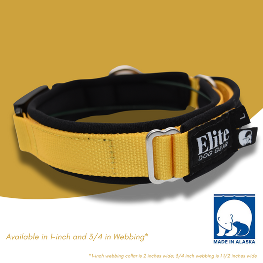 FI Arctic Circle Collar