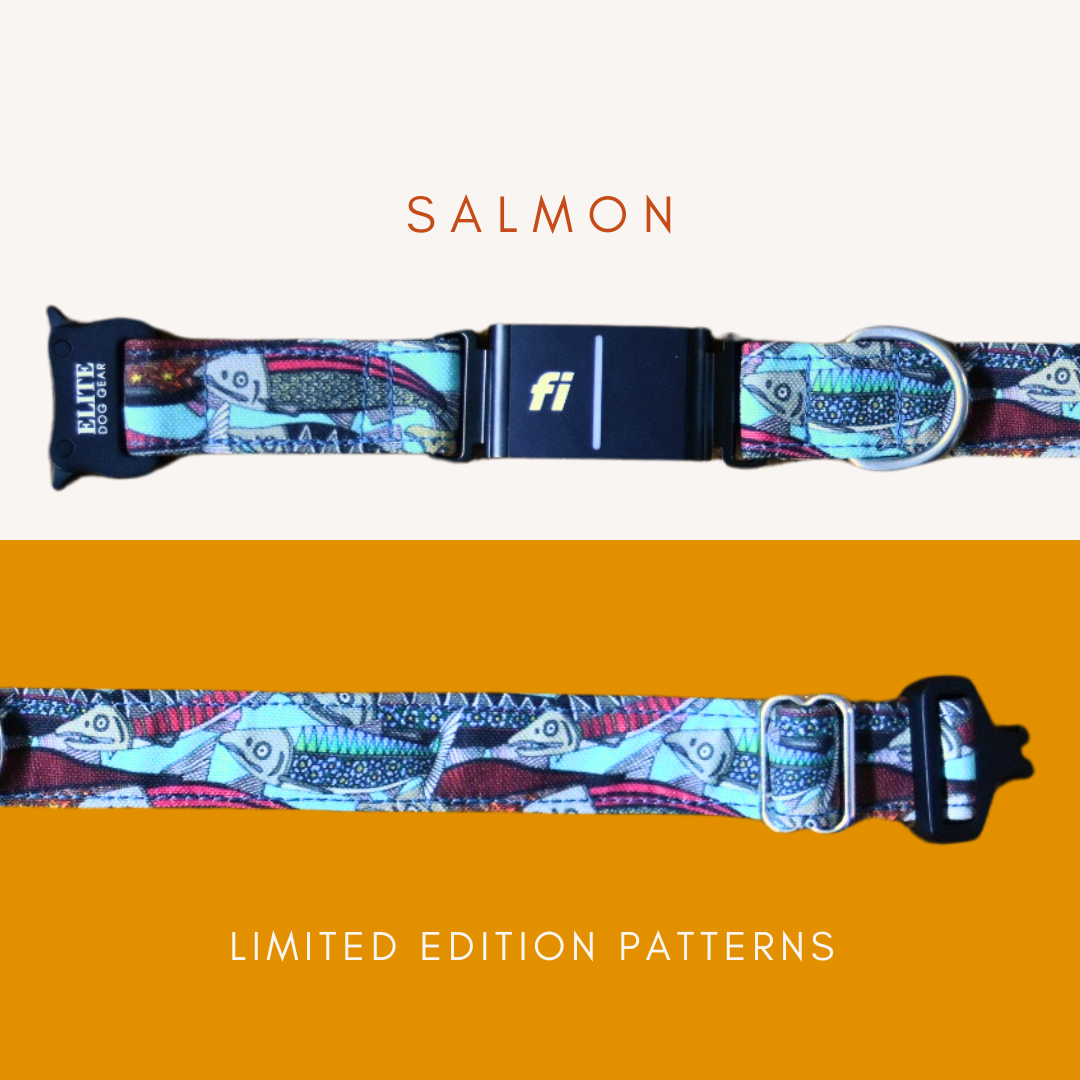 In-Line Fi Buckle Collar