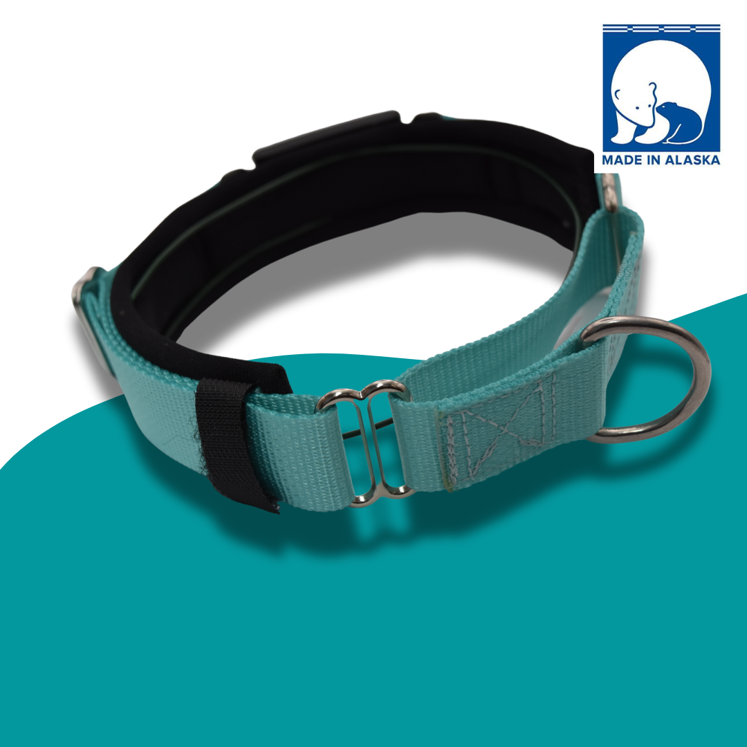 FI Martingale Collar