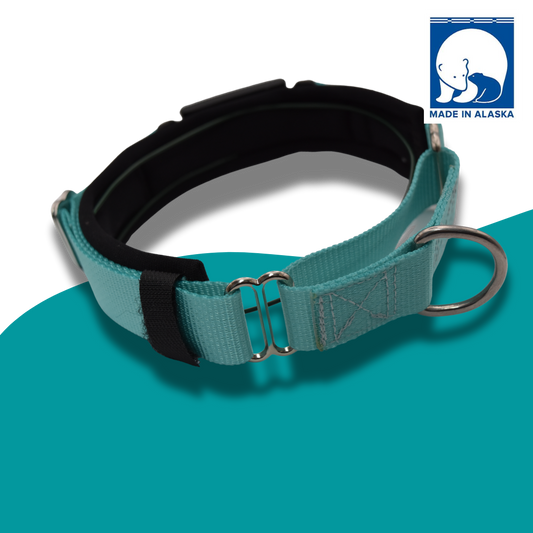 FI Martingale Collar