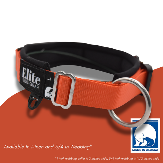 Fi Traditional Buckle Collar