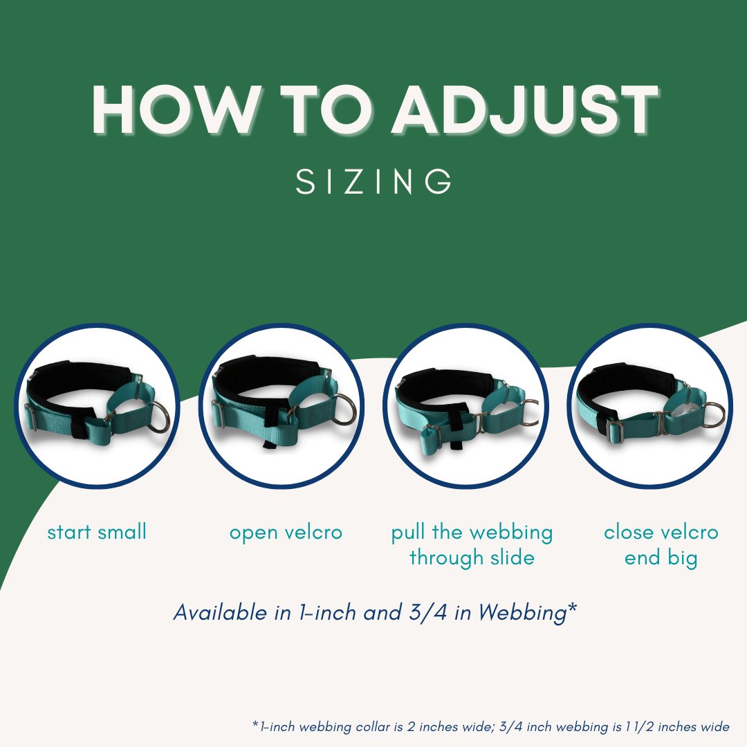 Martingale Collar