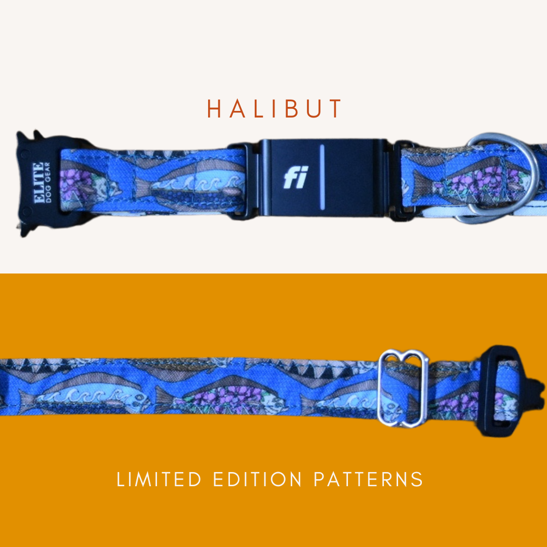 In-Line Fi Buckle Collar