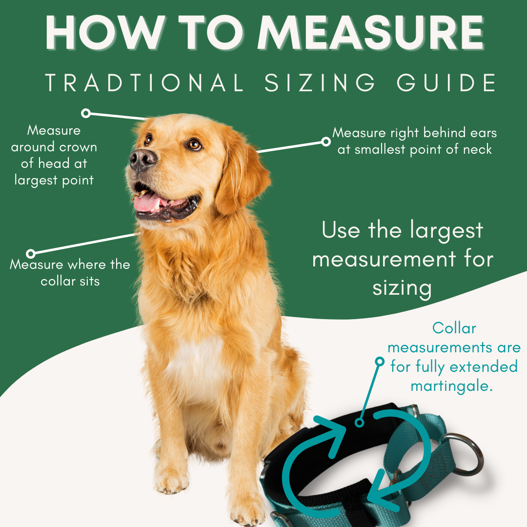 Martingale Collar