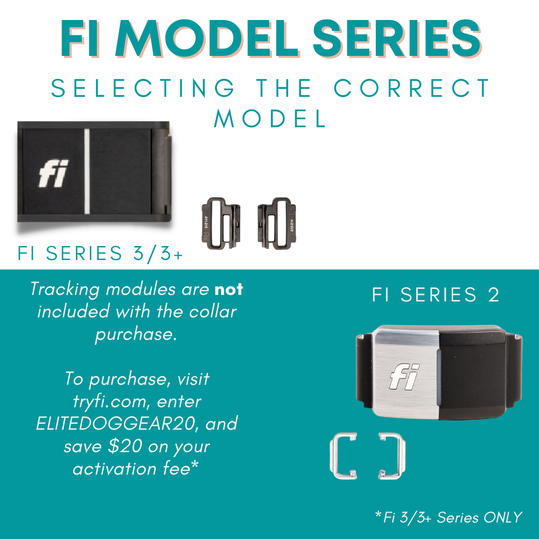 FI Martingale Collar