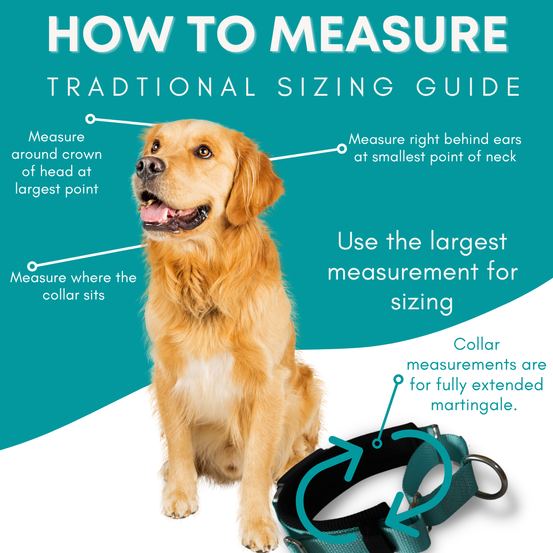 FI Martingale Collar