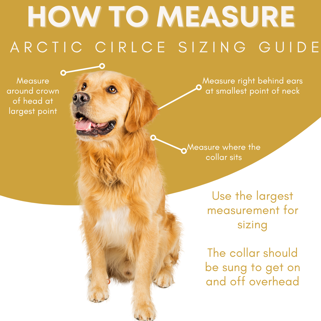 FI Arctic Circle Collar