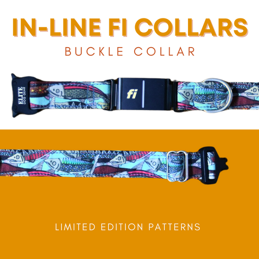 In-Line Fi Buckle Collar