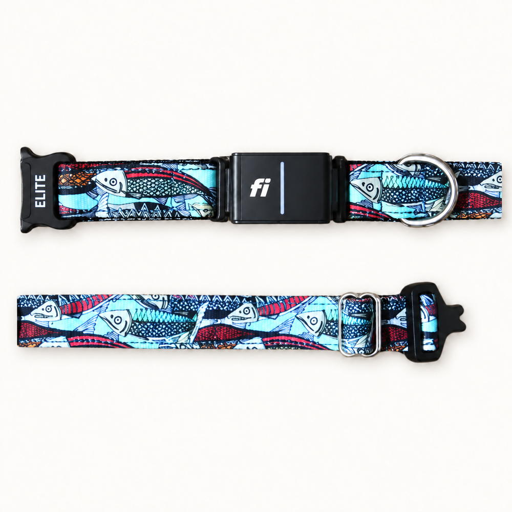 Fi Signature Canvas Collar