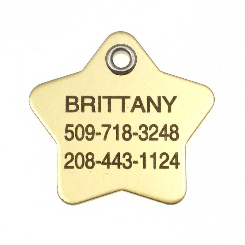 Metal Star polished brass pet ID tag