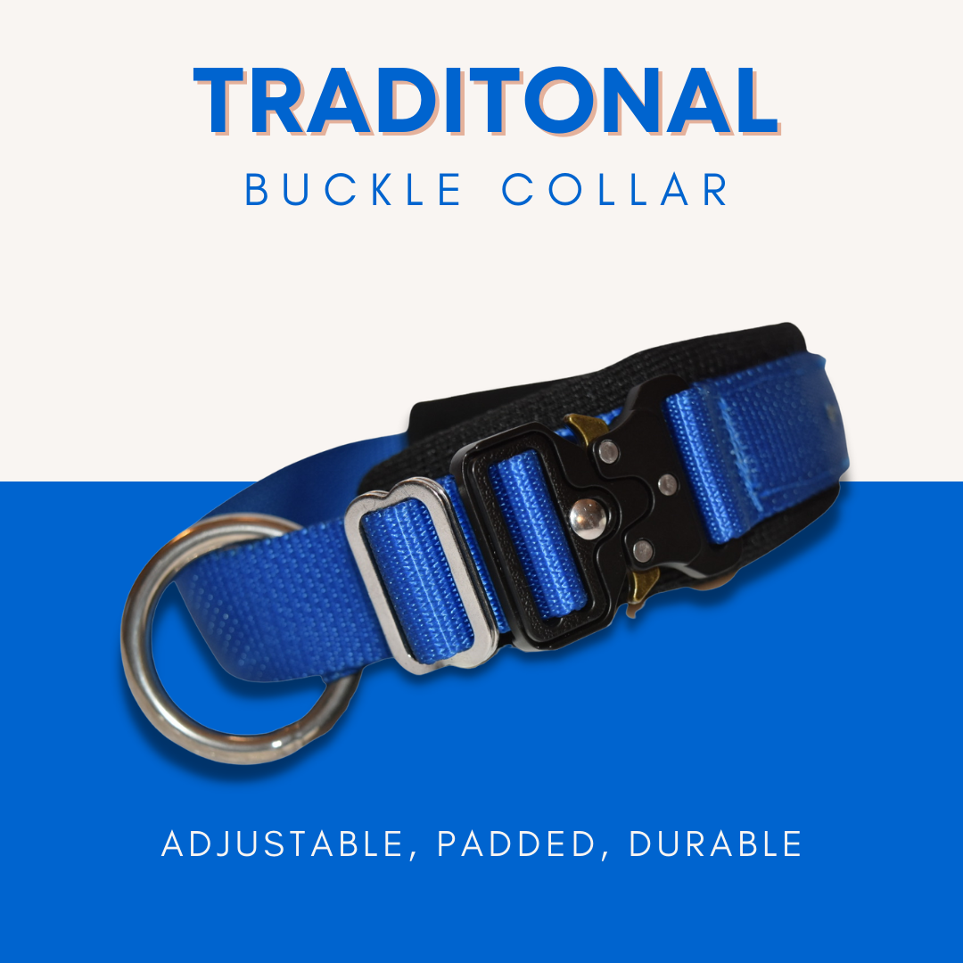 Traditional buckle dog collars hot sale