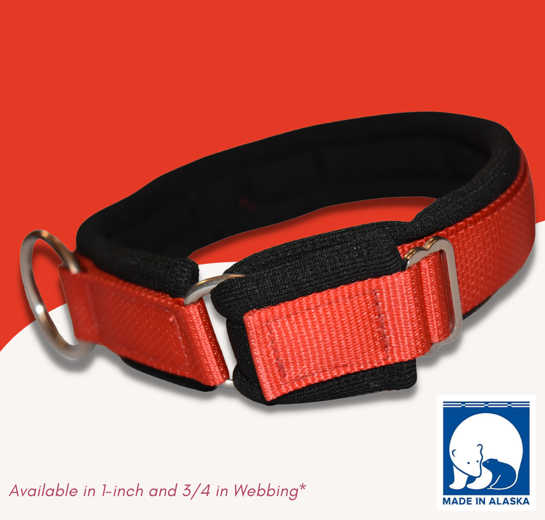 Arctic Circle Collar
