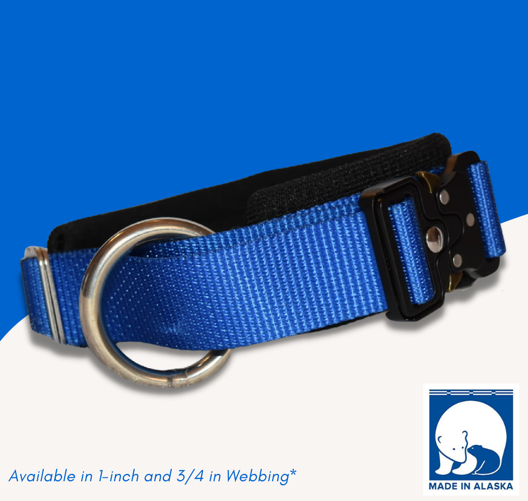 Traditional Buckle Collar