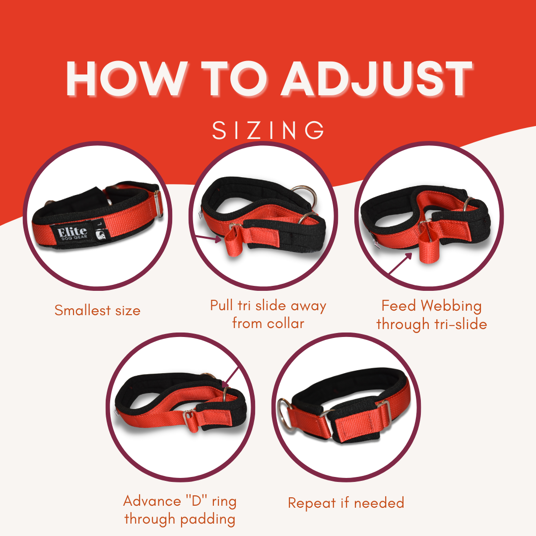 Arctic Circle Collar