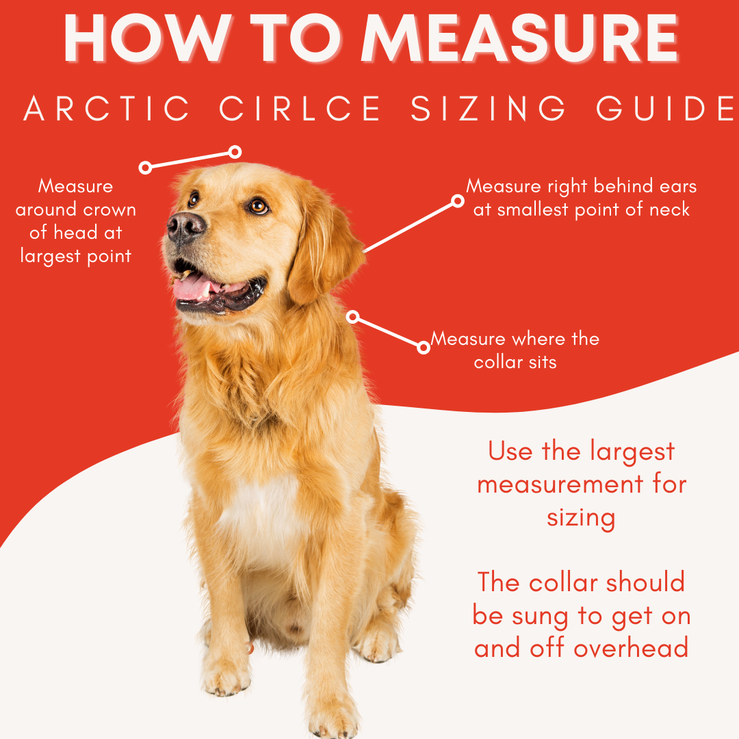 Arctic Circle Collar