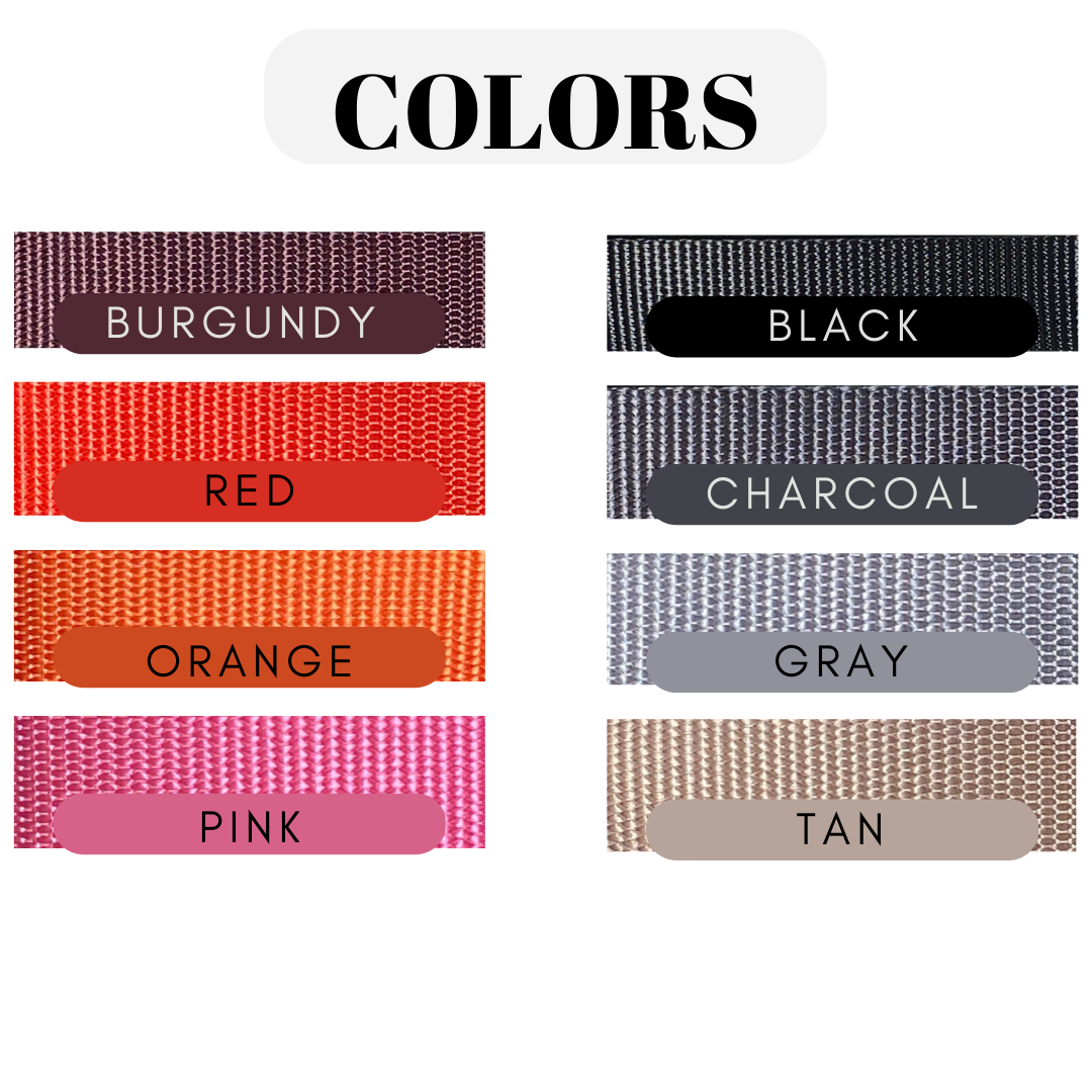 Fi Traditional Buckle Collar