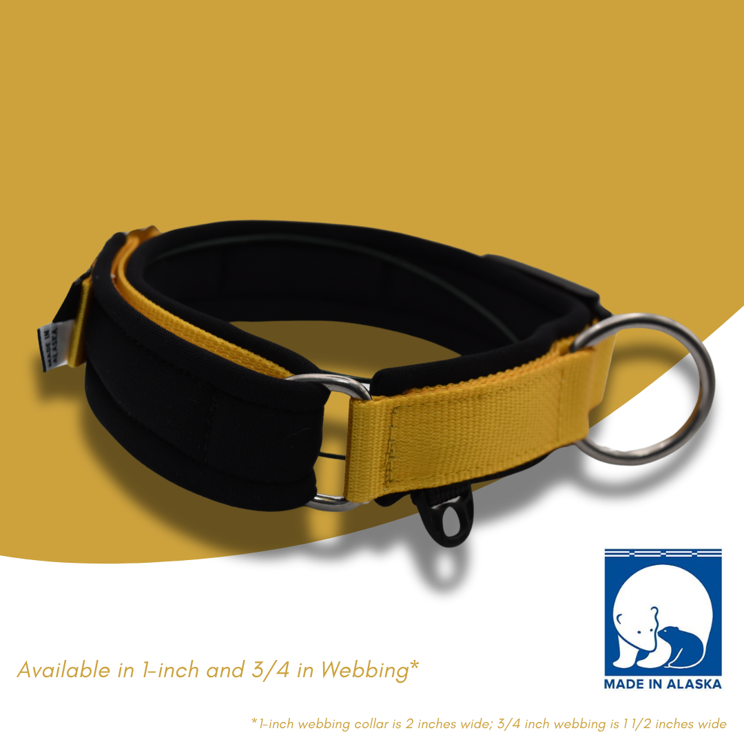 FI Arctic Circle Collar – Elite Dog Gear