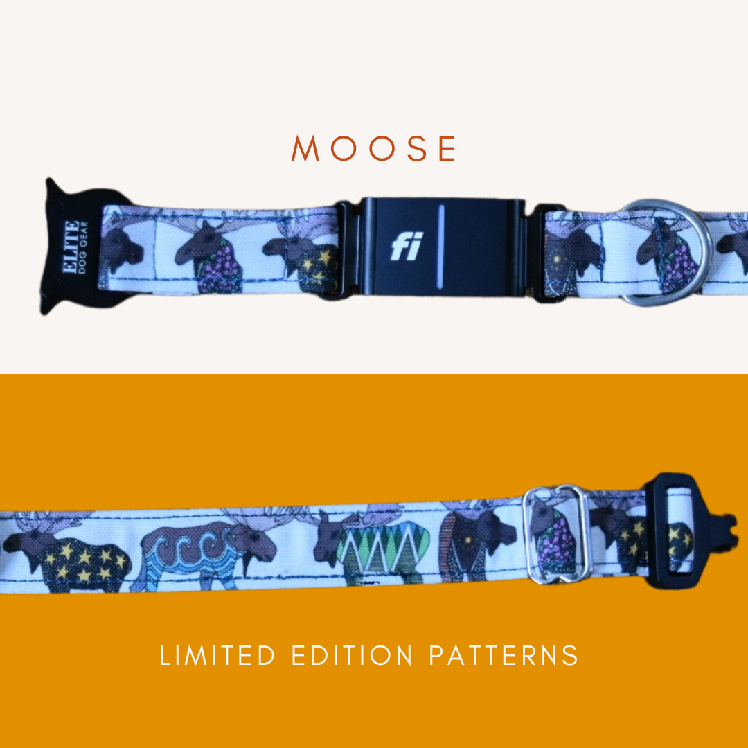 Signature Canvas Collar construction reference