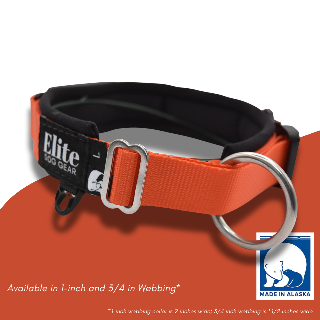 Fi Traditional Buckle Collar