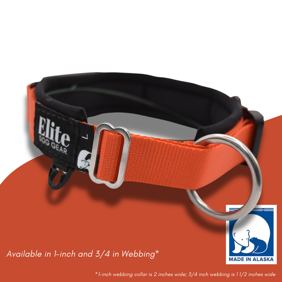 Fi Traditional Buckle Collar – Elite Dog Gear