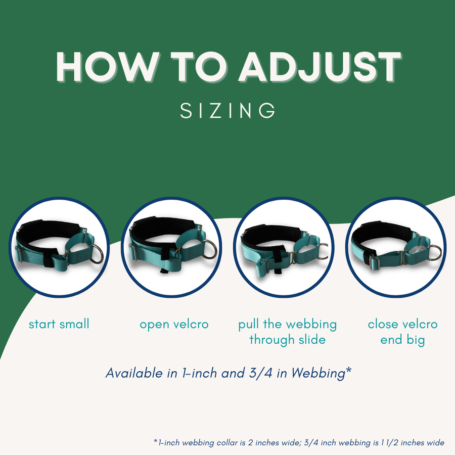 Photo sequence showing how to adjust a Martingale collar