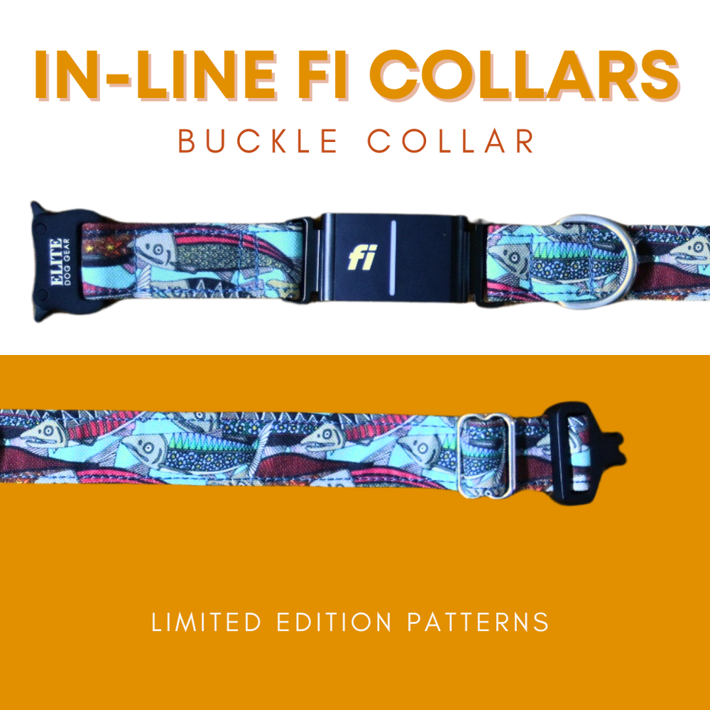 Fi Signature Canvas Collar