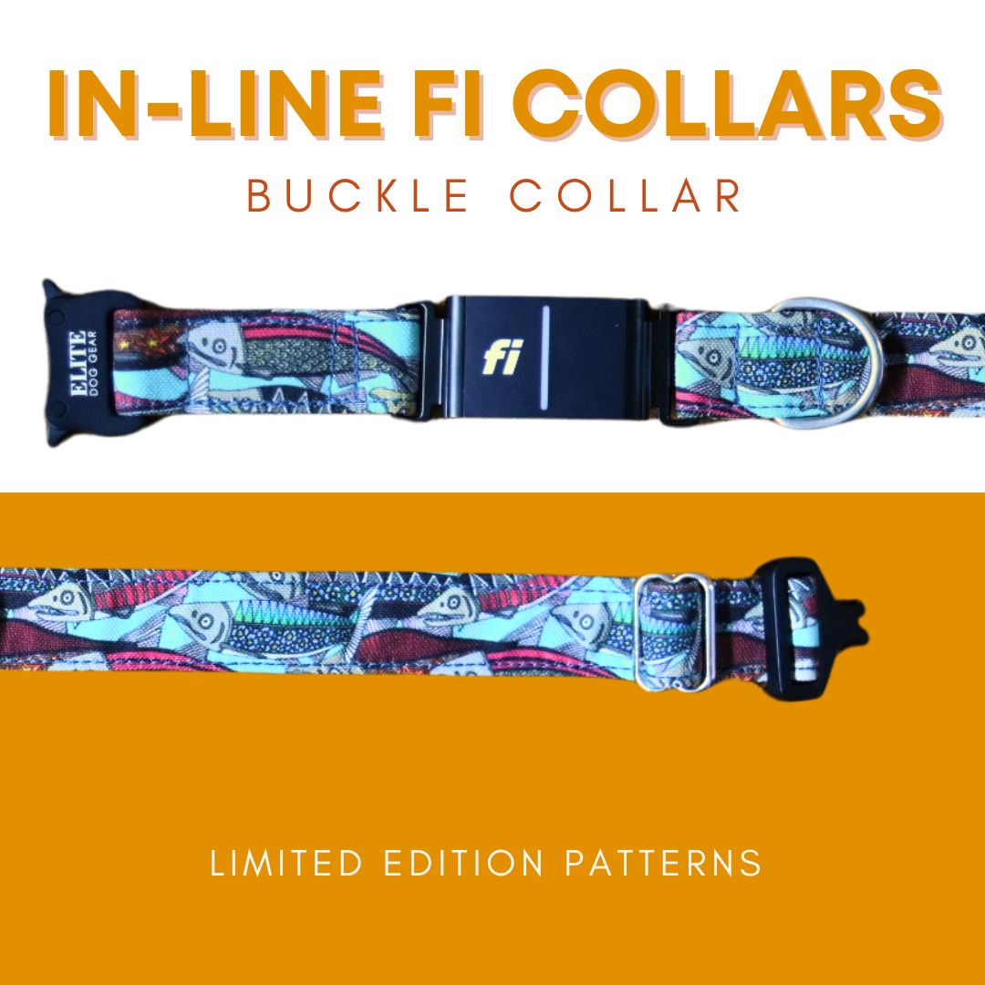 Signature Canvas Collar recycled canvas pattern reference