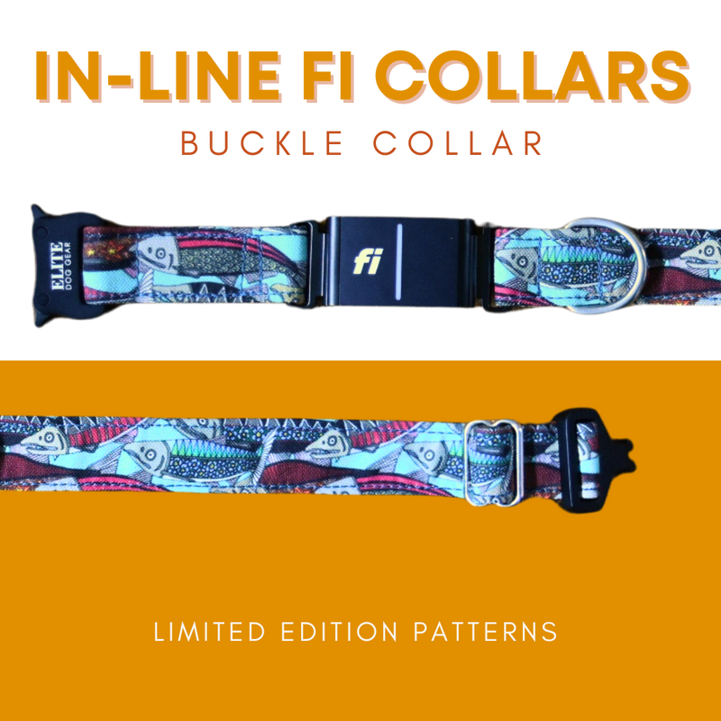 Fi Signature Canvas Collar