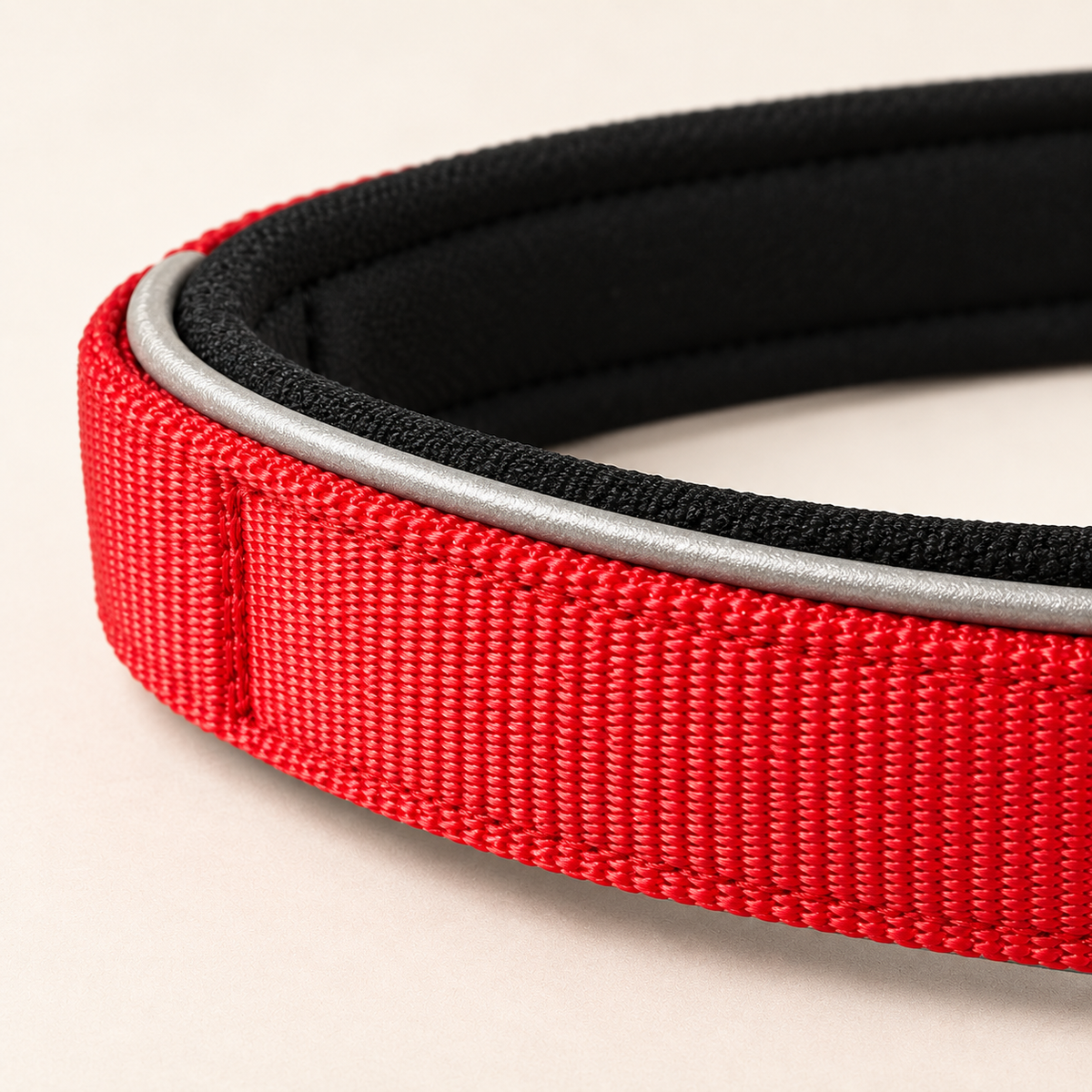 NightGuard reflective edge detail on an Elite Dog Gear collar