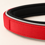 NightGuard reflective edge detail on an Elite Dog Gear collar
