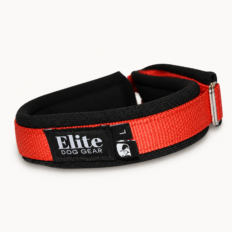 Red Arctic Circle buckle-free dog collar