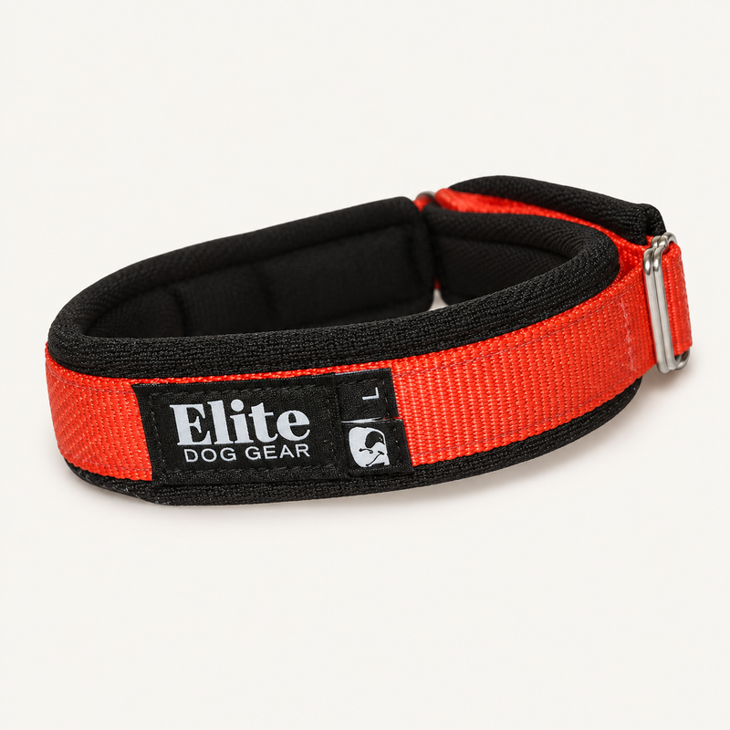 Red Arctic Circle buckle-free dog collar