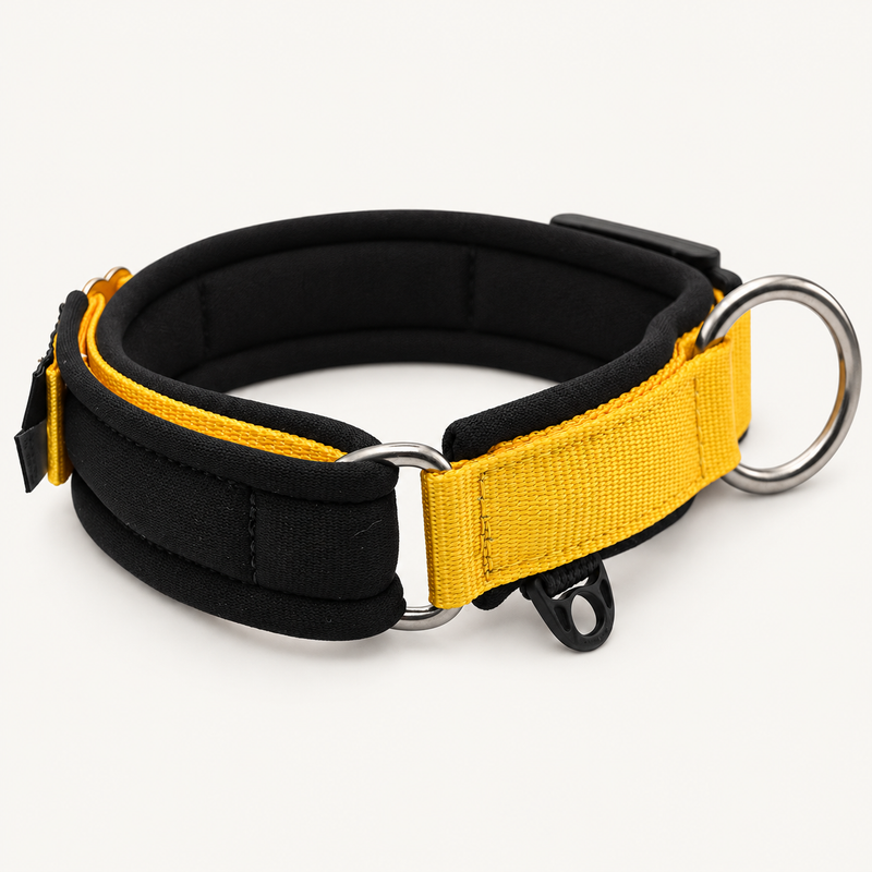 Green Martingale dog collar with limited-slip control loop
