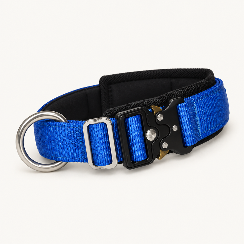 Blue Traditional Buckle dog collar with quick-release buckle