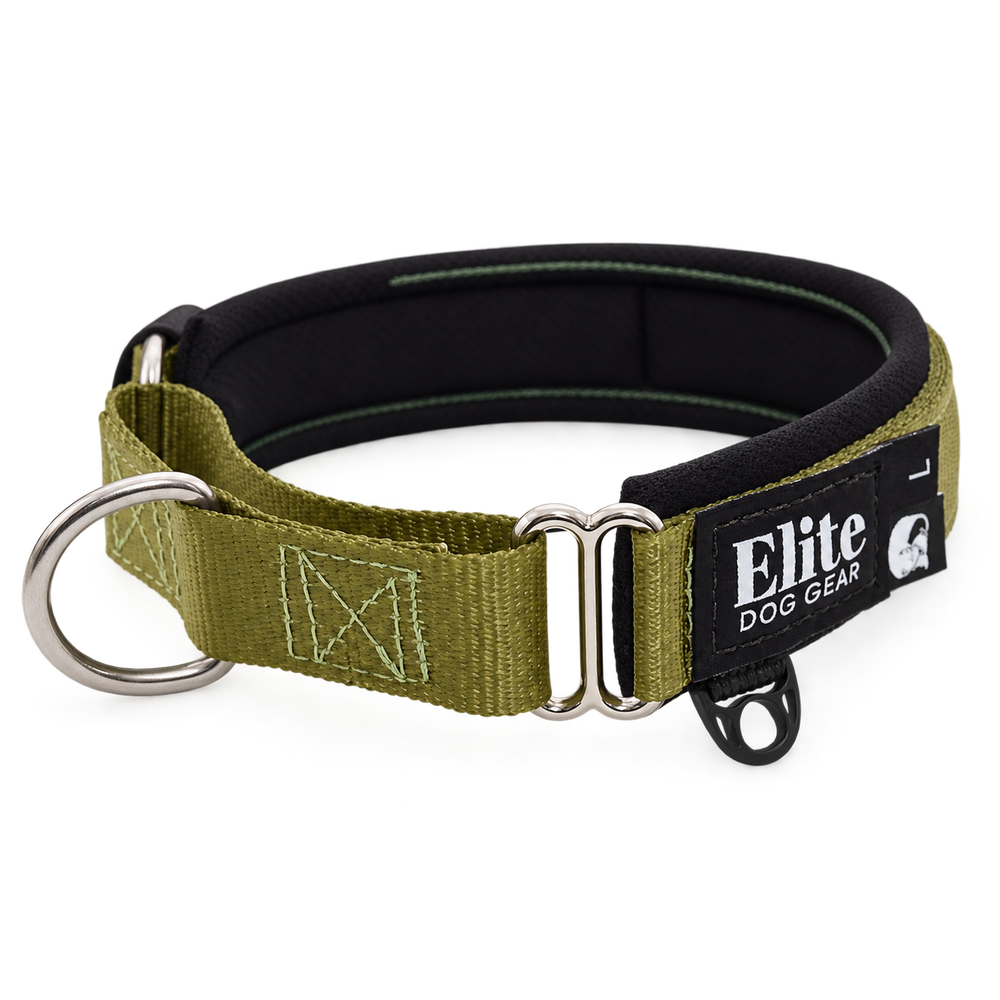 Martingale Collar