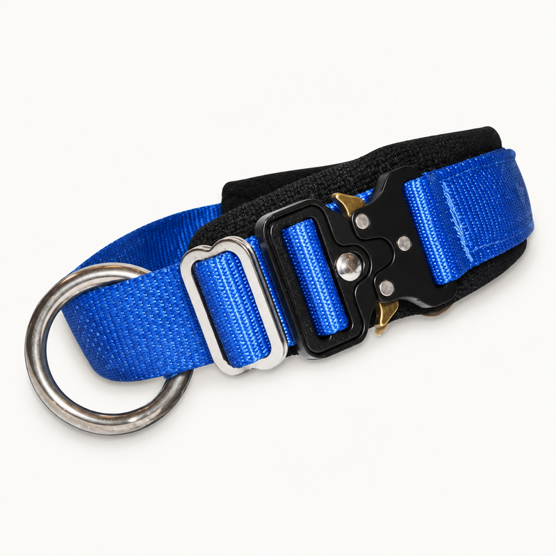 Blue Traditional Buckle dog collar with quick-release buckle
