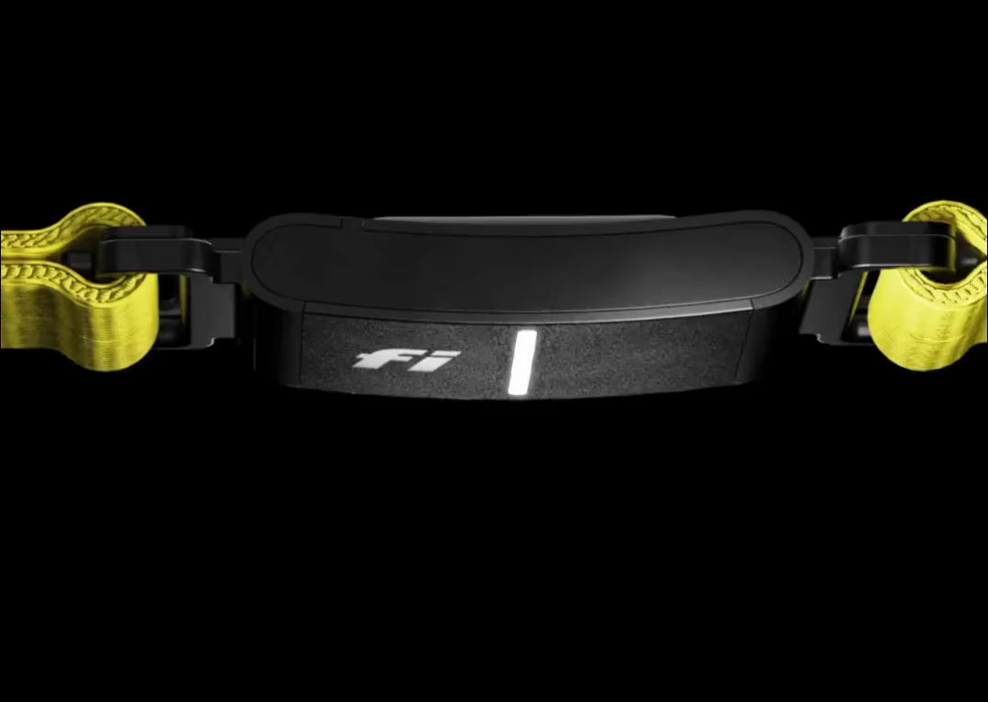Fi Series 3+ GPS tracker module