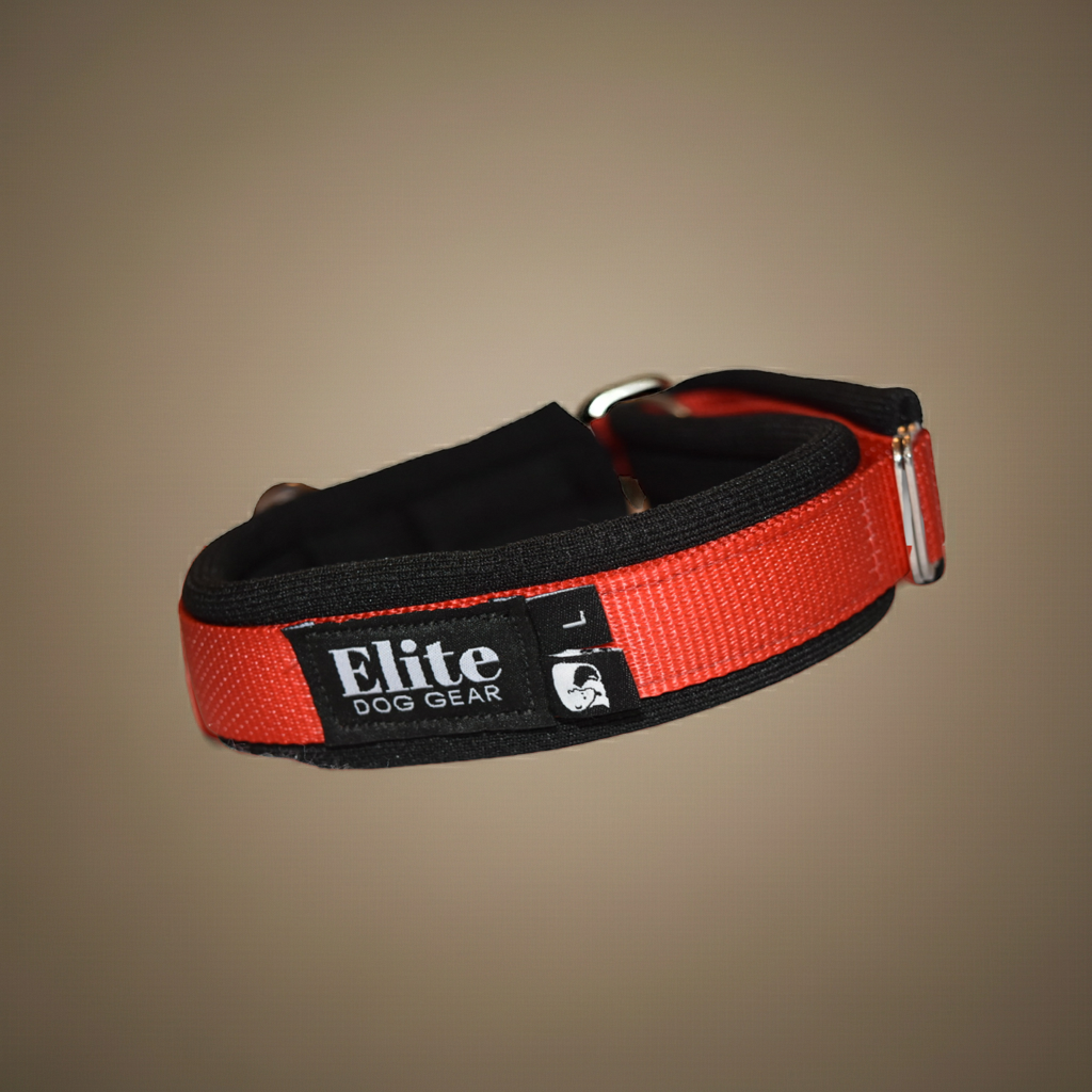 Arctic Circle Collar