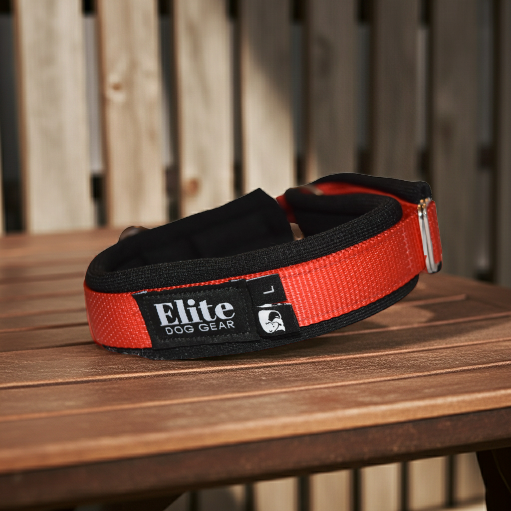 Arctic Circle Collar