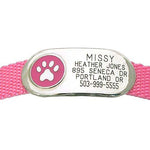 Jewelry Collar Tag - Paw - pink