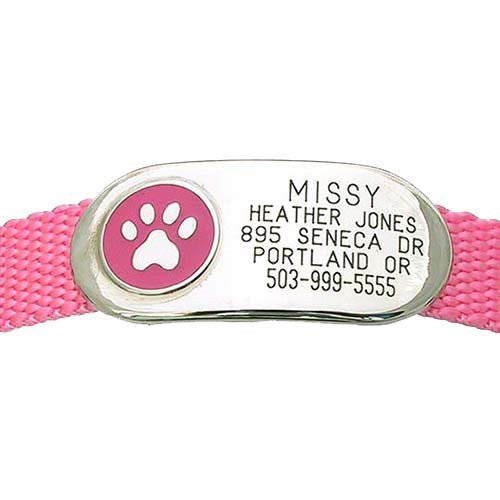 Jewelry Collar Tag - Paw - pink
