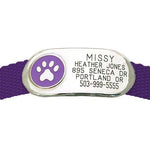 Jewelry Collar Tag - Paw - purple