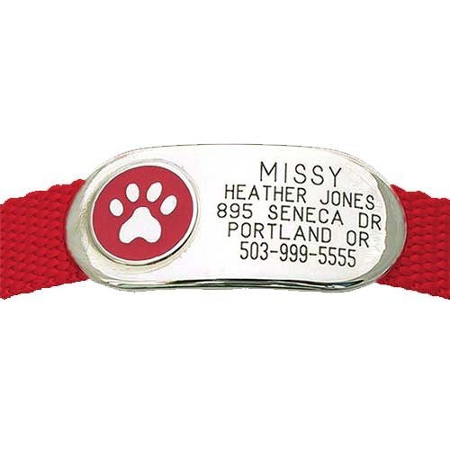 Jewelry Collar Tag - Paw - red