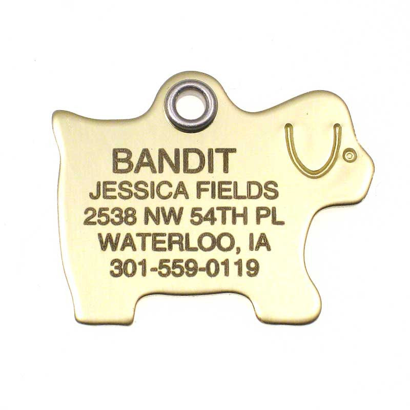 Metal Dog polished brass pet ID tag