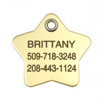 Metal Star polished brass pet ID tag