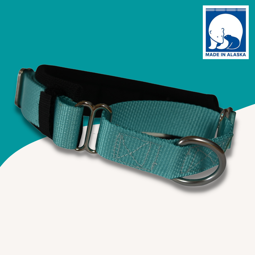 FI Martingale Collar