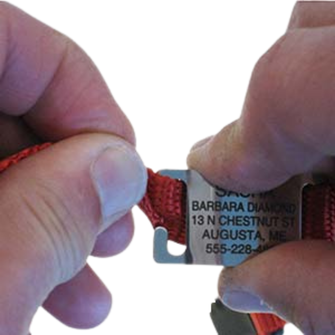 Threading a red collar through a LuckyPet Slide-On Open Tag