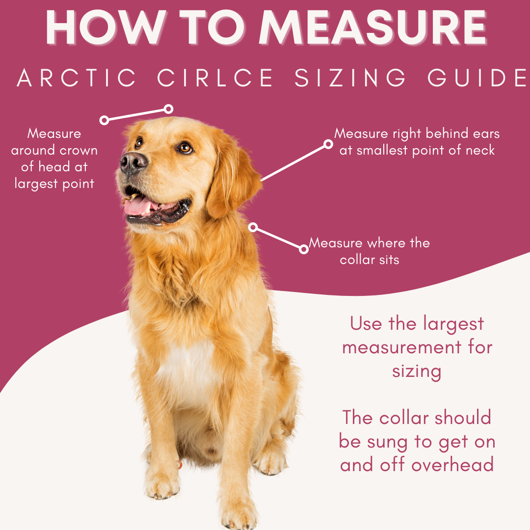 FI Arctic Circle Collar