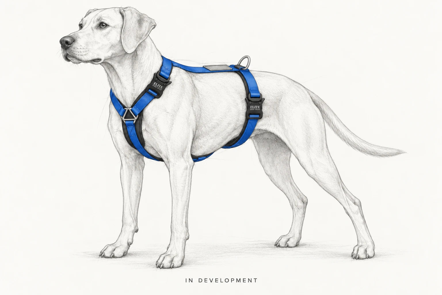 Concept sketch of an EDG Y-front harness fitted to a dog — in development